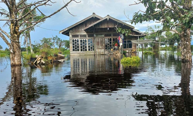 Banjir Rendam Sejumlah Daerah di Kabupaten Kayong Utara Kalimantan Barat