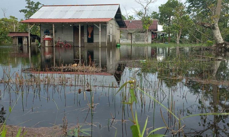 Banjir Rendam Sejumlah Daerah di Kabupaten Kayong Utara Kalimantan Barat