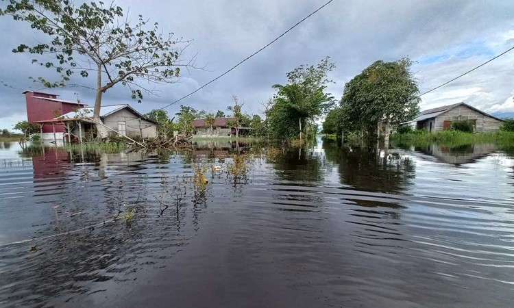 Banjir Rendam Sejumlah Daerah di Kabupaten Kayong Utara Kalimantan Barat