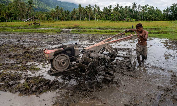 Pemprov Sulawesi Tengah Gunakan APBD Untuk Subsidi BBM Bagi Petani