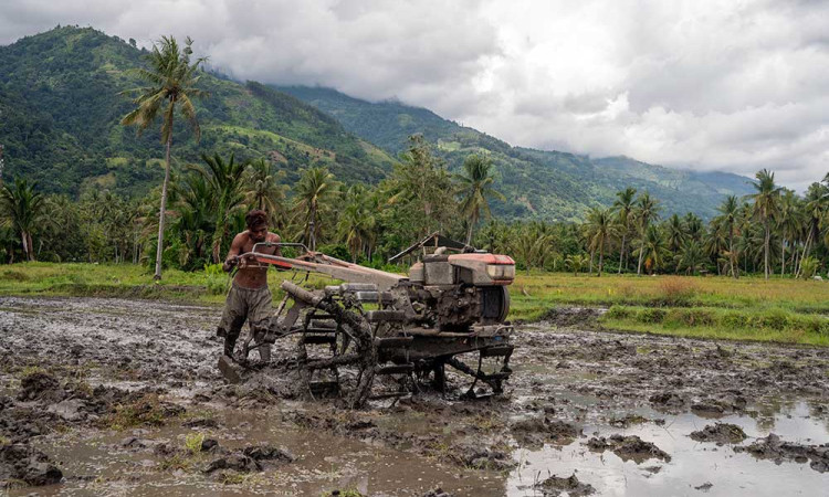Pemprov Sulawesi Tengah Gunakan APBD Untuk Subsidi BBM Bagi Petani