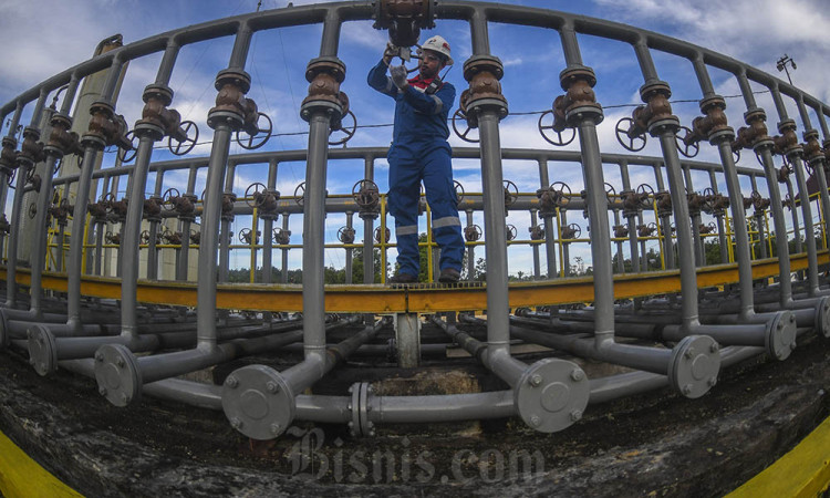 Pejuang Energi Pertamina EP Tarakan Field