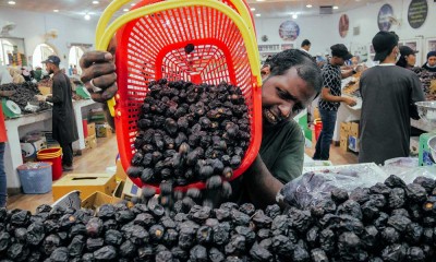 Wisata Kebun Kurma di Madinah Ramai Dikunjungi Para Jamaah Haji dan Umrah Asal Indonesia