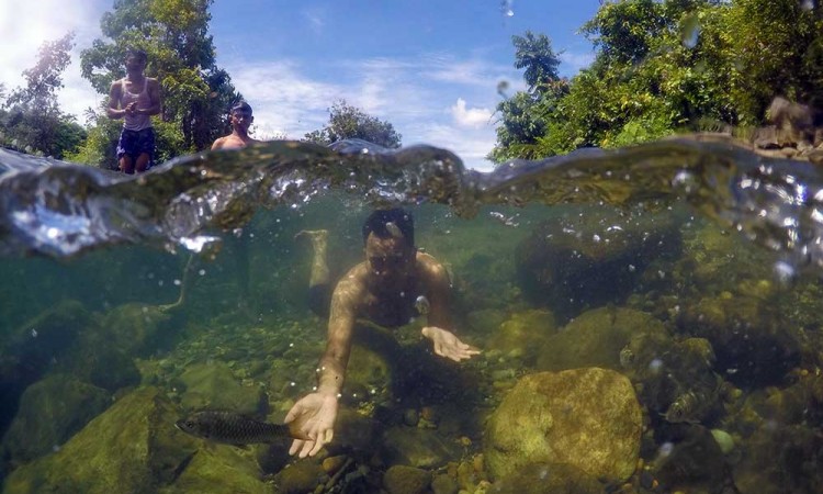 Wisata Sungai di Padangpariaman Tawarkan Sensasi Berenang Dengan Ikan