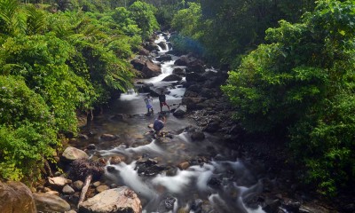 Wisata Sungai di Padangpariaman Tawarkan Sensasi Berenang Dengan Ikan