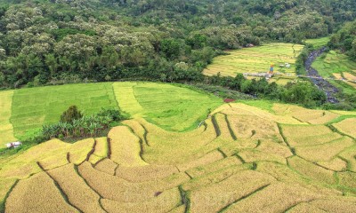 Keindahan Eko Wisata di Desa Detusoko 