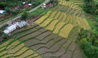 Keindahan Eko Wisata di Desa Detusoko 