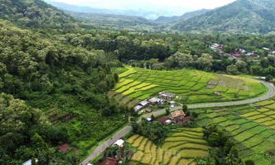 Keindahan Eko Wisata di Desa Detusoko 