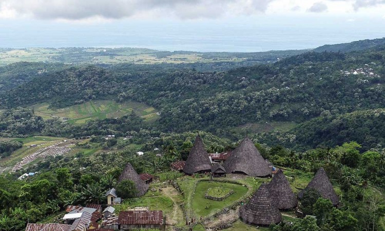 Keindahan Kampung Adat Todo di NTT Menjadi Daya Tarik Pariwisata