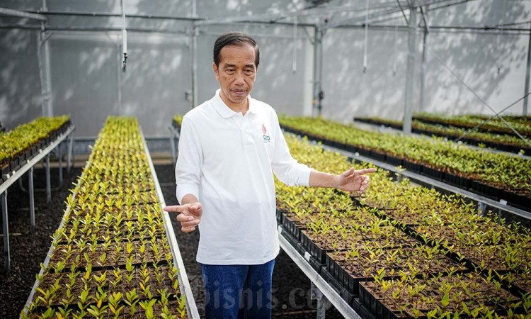 Presiden Kunjungi Tempat Pembibitan Pohon Mangrove Taman Hutan Raya Ngurah Rai