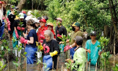 Cegah Dampak Pemanasan Global, Bukalapak Tanam Mangrove