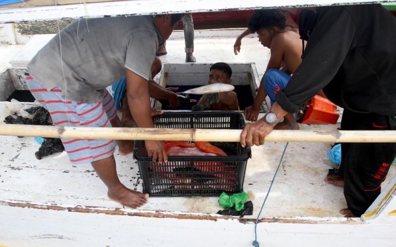 Nelayan memindahkan ikan dari kapal di Pelabuhan Paotere, Makassar, Sulawesi Selatan, Rabu (30/11/2022). Pada 2021, ekspor produk perikanan Indonesia terus meningkat 17 persen year-on-year (yoy) menjadi US$5,72 miliar. Adapun, komoditas utama ekspor 2021, meliputi udang, tuna tongkol cakalang, cumi sotong gurita, rumput laut, dan rajungan kepiting dengan total nilai US$3,68 miliar dan tumbuh positif 14.48 persen yoy. Bisnis/Paulus Tandi Bone