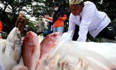 Festival Ikan Melenial di Bandunga