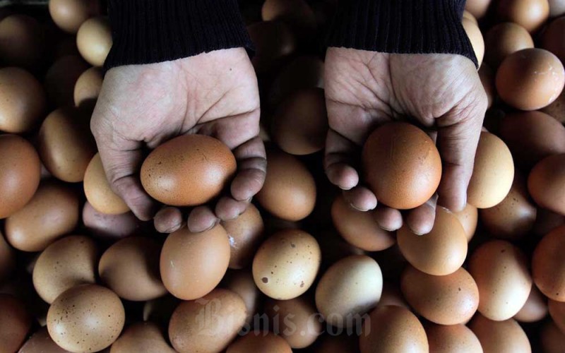 Pedagang menata telur ayam di Jakarta, Sabtu (3/12/2022). Badan Pusat Statistik (BPS) mencatat komoditas telur ayam pada November 2022 menyumbang inflasi masing-masing sebesar 0,020 persen month-to-month (mtm), harga telur ayam pun sudah naik hingga 17,11 persen. Bisnis/Fanny Kusumawardhani