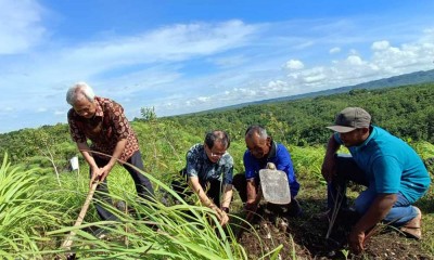 YDBA Resmikan Program Pembinaan Petani Serai Wangi di Bantul