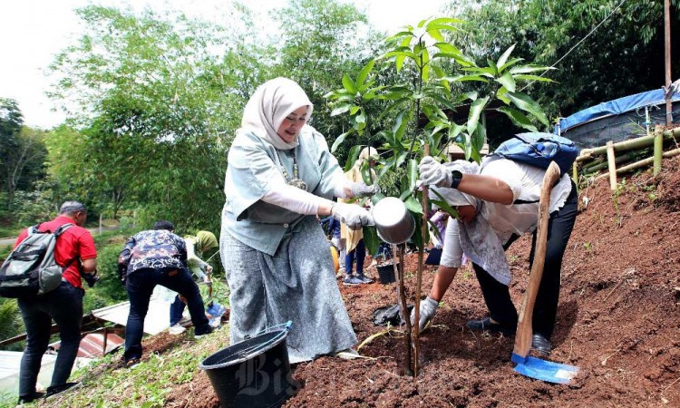 Sambut Hari Ibu, SBM ITB dan Indonesia Power Lakukan Penanaman Pohon Produktif