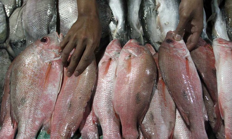 Cuaca Buruk Membuat Pedagang Ikan Segar Kekurangan Pasokan