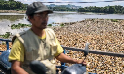 Sungai Citarum di Jawa Barat Kembali Dipenuhi Sampah