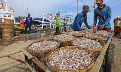 KKP Mencatat PNBP Sektor Perikanan Tangkap Sebesar Rp1,26 triliun Pada 2022
