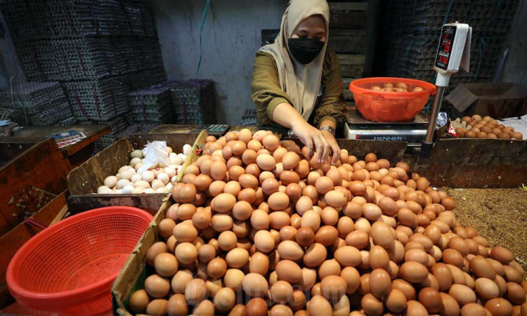 Harga Telur Naik Hingga Rp28.000 Per Kilogram