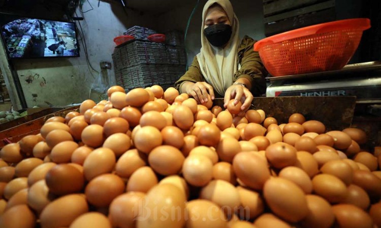 Harga Telur Naik Hingga Rp28.000 Per Kilogram