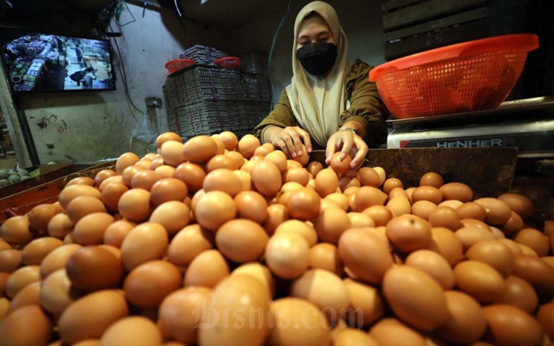 Pedagang menata telur ayam di Jakarta, Rabu (25/1/2023). Menurut pedagang, harga telur ayam dipasaran saat ini mengalami kenaikan dari Rp27.000 per kg menjadi Rp28.000 per kilogram. Bisnis/Eusebio Chrysnamurti