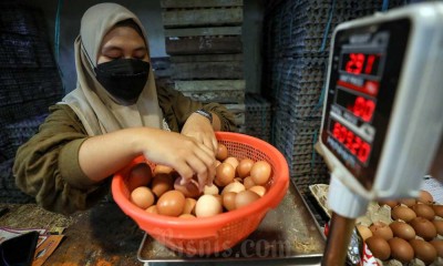 Harga Telur Naik Hingga Rp28.000 Per Kilogram