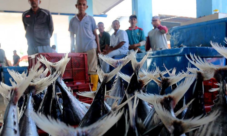 Ekspor Perikanan Indonesia Pada 2023 Ditargetkan Mencapai US$7,66 Miliar