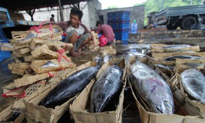 Suplai Ikan Dari Nelayan Berkurang, Industri Olahan Ikan Pindang di Jatim Menurunkan Produksi