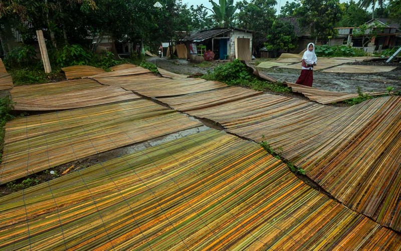 Seorang anak berdiri di dekat kerai bambu yang sedang dijemur di Kampung Krey Cihiang, Lebak, Banten, Selasa (31/1/2023). Sebanyak 130 KK yang tinggal di kampung tersebut berprofesi sebagai perajin kerai dan telah melayani pesanan ke berbagai kota di Indonesia dengan harga mulai dari Rp28 hingga Rp50 ribu per buah. ANTARA FOTO/Muhammad Bagus Khoirunas