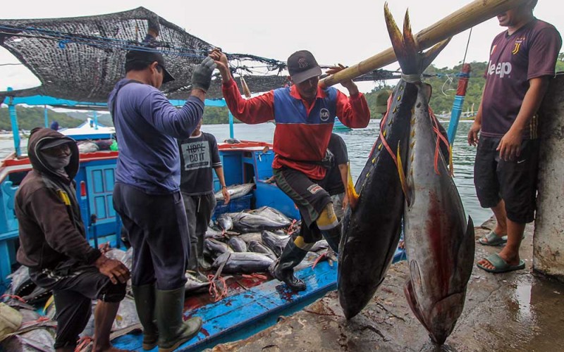 Pekerja memindahkan ikan dari kapal di Tempat Pelelangan Ikan Sendang Biru, Tambakrejo, Malang, Jawa Timur (31/1/2023). Akibat cuaca buruk, sejumlah nelayan dikawasan itu membatasi area pencarian ikan dan waktu melaut diperpendek sehingga hasil ikan tangkapannya mengalami penurunan dari yang semula berkisar 3 ton menjadi 2 ton setiap sekali melaut. ANTARA FOTO/Muhammad Mada