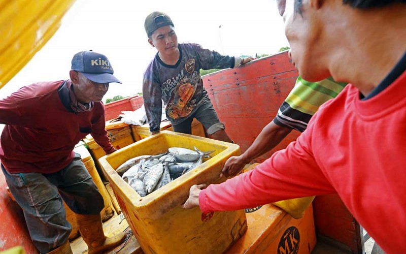Pekerja mengangkat wadah berisi ikan di gudang beku Koperasi Perikanan Laut (KPL) Mina Sumitra, Indramayu, Jawa Barat, Rabu (8/2/2023). Presiden Joko Widodo berencana akan melakukan hilirisasi sumber daya alam sektor kelautan untuk meningkatkan perekonomian nasional. ANTARA FOTO/Dedhez Anggara