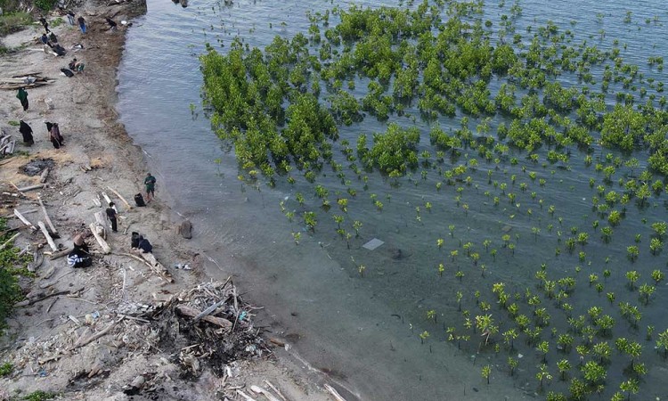 Aksi Berih-Bersih Pantai Dari Sampah Plastik di Palu