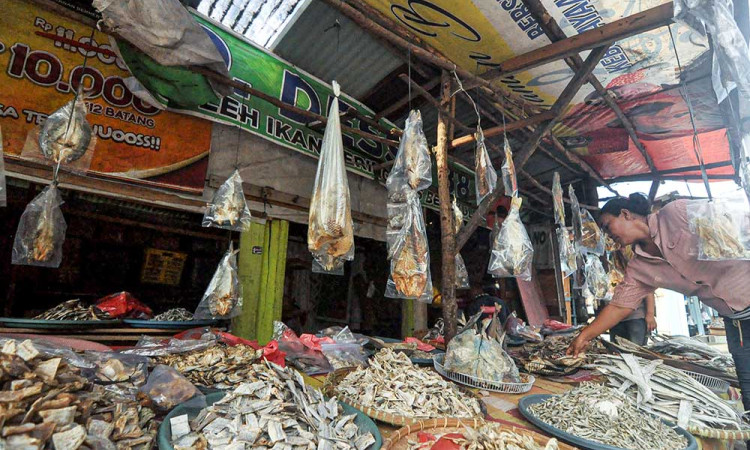 Cuaca Buruk Membuat Tangkapan Ikan Nelayan di Bengkulu Menurun