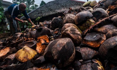 Inovasi Pengolahan Limbah Kelapa Menjadi Minuman Herbal