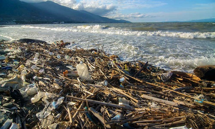 Kawasan Wisata Pantai Teluk Palu Dipenuhi Sampah