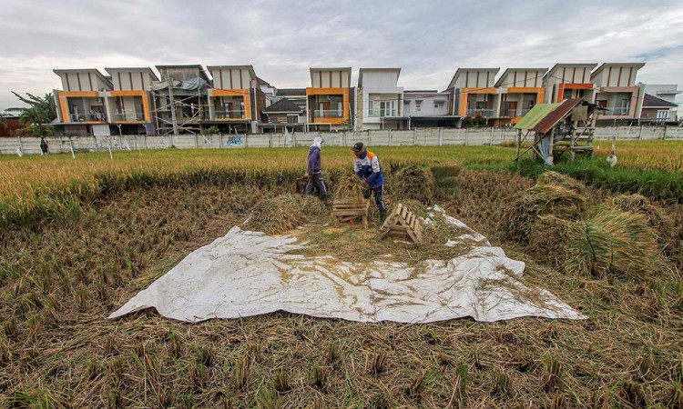 Kementerian ATR/BPN Merevisi Penetapan Lahan Sawah Dilindungi 