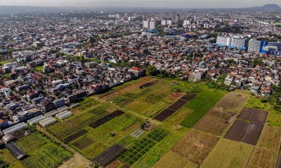 Kementerian ATR/BPN Merevisi Penetapan Lahan Sawah Dilindungi 