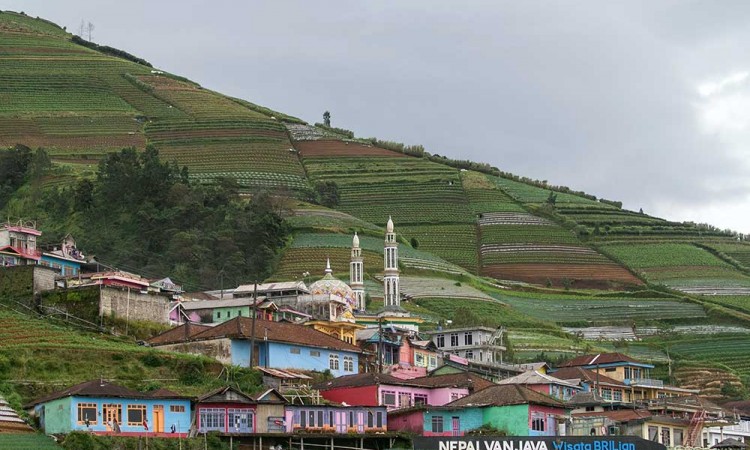 Indahnya Obyek Wisata Nepal Van Java di Lereng Gunung Sumbing