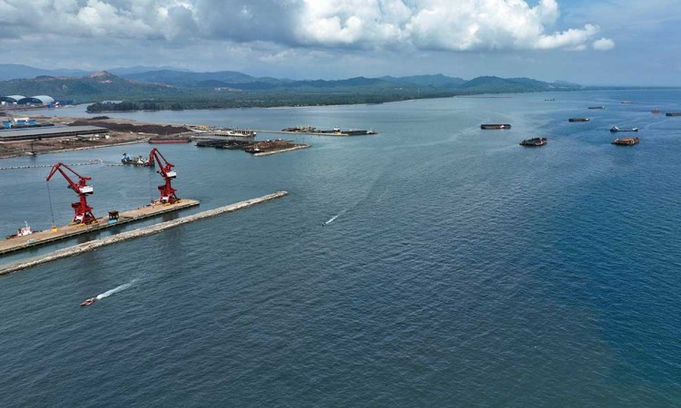 Pelabuhan VDNI Mampu Menampung Puluhan Kapal Tongkang