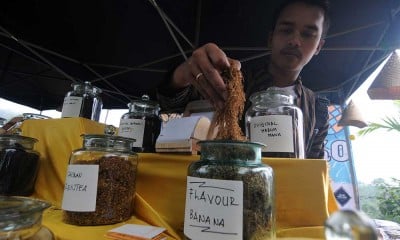 Penjual Tembakau Tingwe di Boyolali Sediakan Berbagai Varian Rasa Tembakau Rajangan