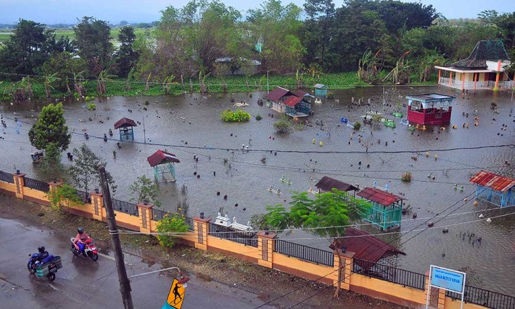 Banjir di Kudus Meluas, Ratusan Rumah dan Ribuan Hektare Sawah Terendam Banjir