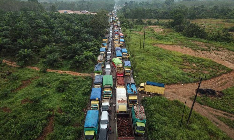 Jalan Nasional di Jambi Macet Total Akibat Truk Bermuatan Batu Bara Masih Diizinkan Melintas