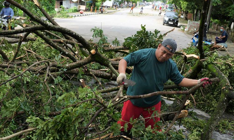 Badai di Kendari Sulawesi Tenggara Tewaskan Dua Warga