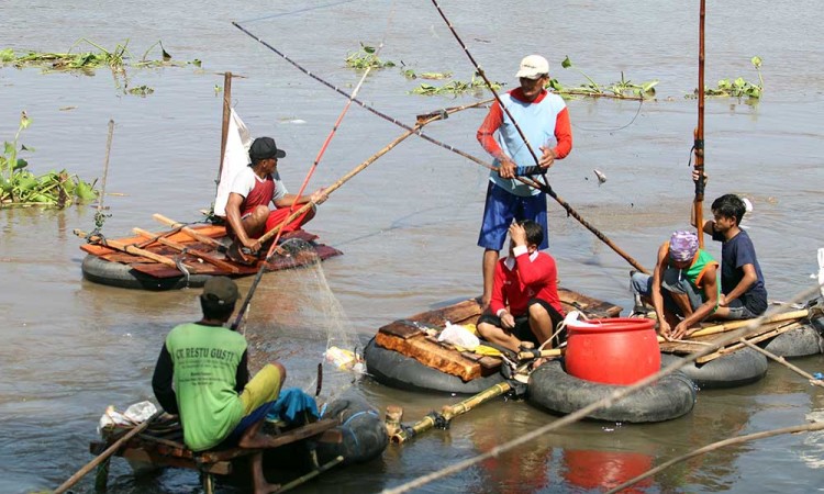 Warga di Kediri Menangkap Ikan Mabuk di Sungai Brantas