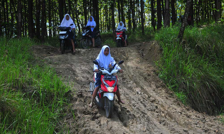 Akses Jalan Desa di Grobogan Jawa Tengah Belum Tersentuh Pembangunan