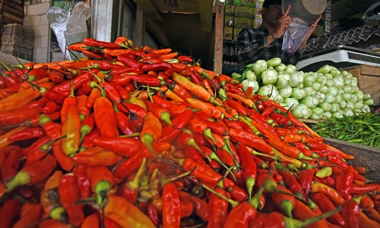 Harga Komoditas Sayur Mayur Mulai Naik Akibat Cuaca Buruk dan Pasokan Berkurang