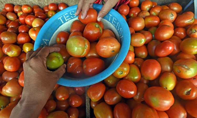 Harga Komoditas Sayur Mayur Mulai Naik Akibat Cuaca Buruk dan Pasokan Berkurang