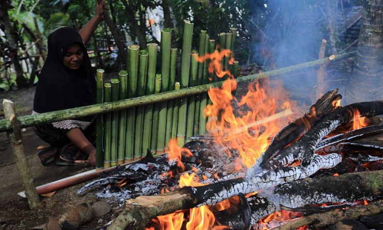 Tradisi Memasak Lemang Bambu di Aceh Digelar Jelang Ramadan