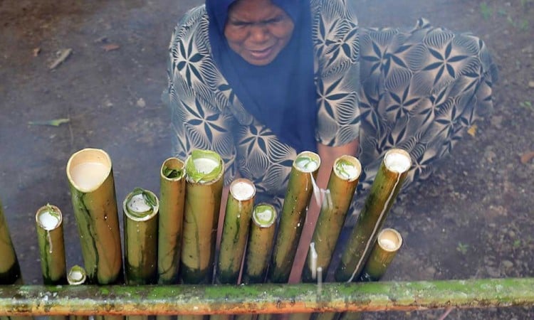 Tradisi Memasak Lemang Bambu di Aceh Digelar Jelang Ramadan